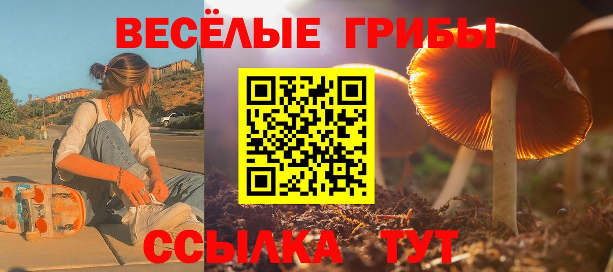 Псилоцибиновые грибы Psilocybe Шелехов
